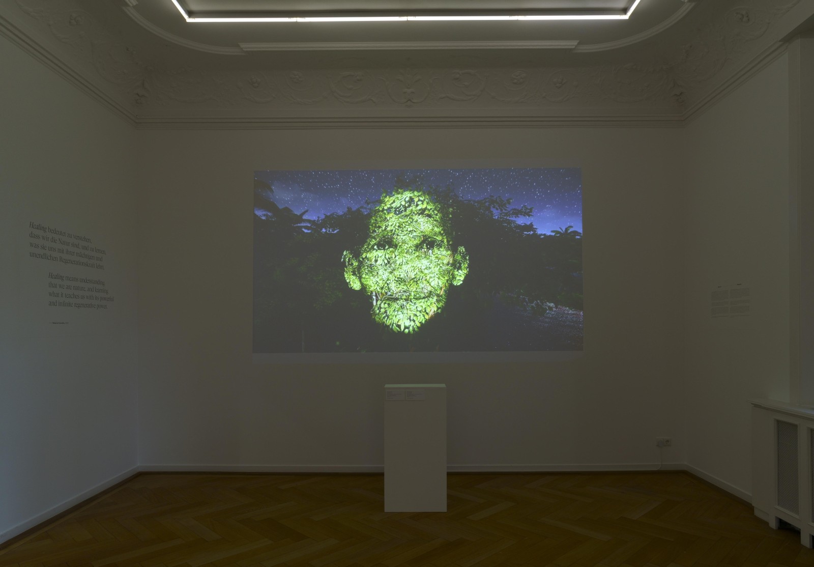 Roberta Carvalho, Symbiosis. Ausstellungsansicht „healing. Leben im Gleichgewicht". Weltkulturen Museum. Foto Wolfgang Günzel