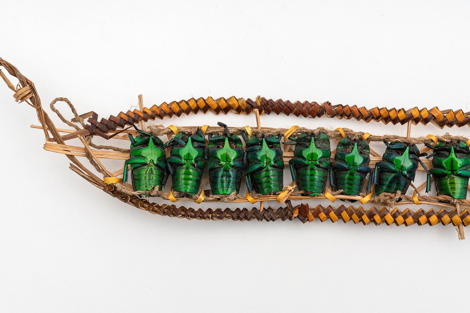 Stirnband (Detail). Pflanzenmaterial, Rosenkäfer. Mount Hagen, Neuguinea. Erworben von R. Diepen, Sepik-Expedition, 1961. Sammlung Weltkulturen Museum. Foto: Wolfgang Günzel