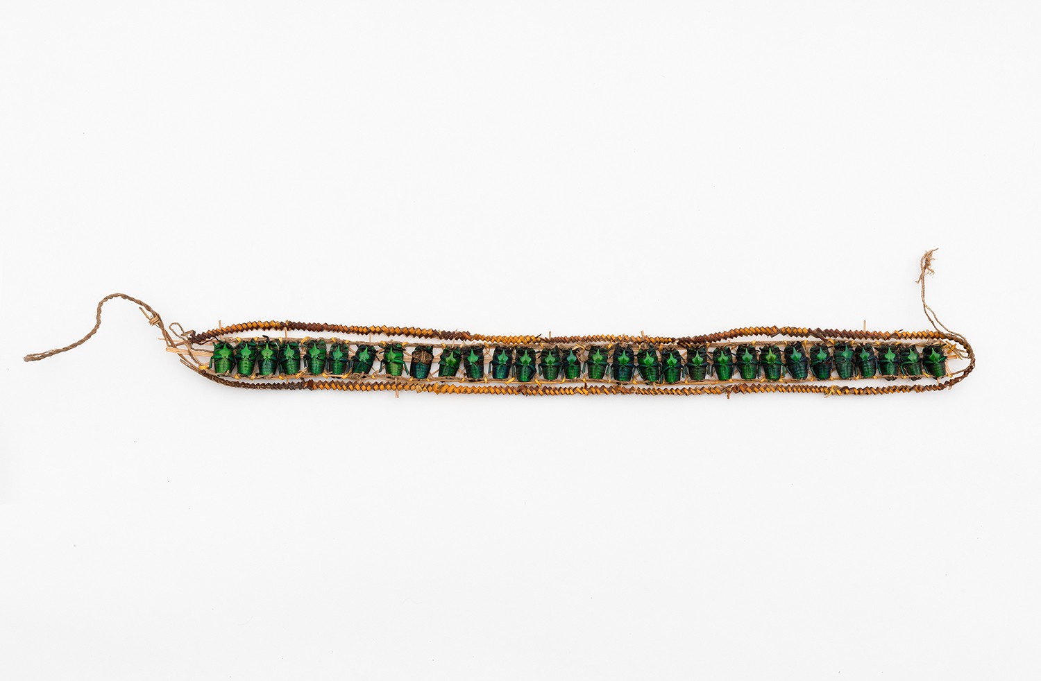 Stirnband (Detail). Pflanzenmaterial, Rosenkäfer. Mount Hagen, Neuguinea. Erworben von R. Diepen, Sepik-Expedition, 1961. Sammlung Weltkulturen Museum. Foto: Wolfgang Günzel