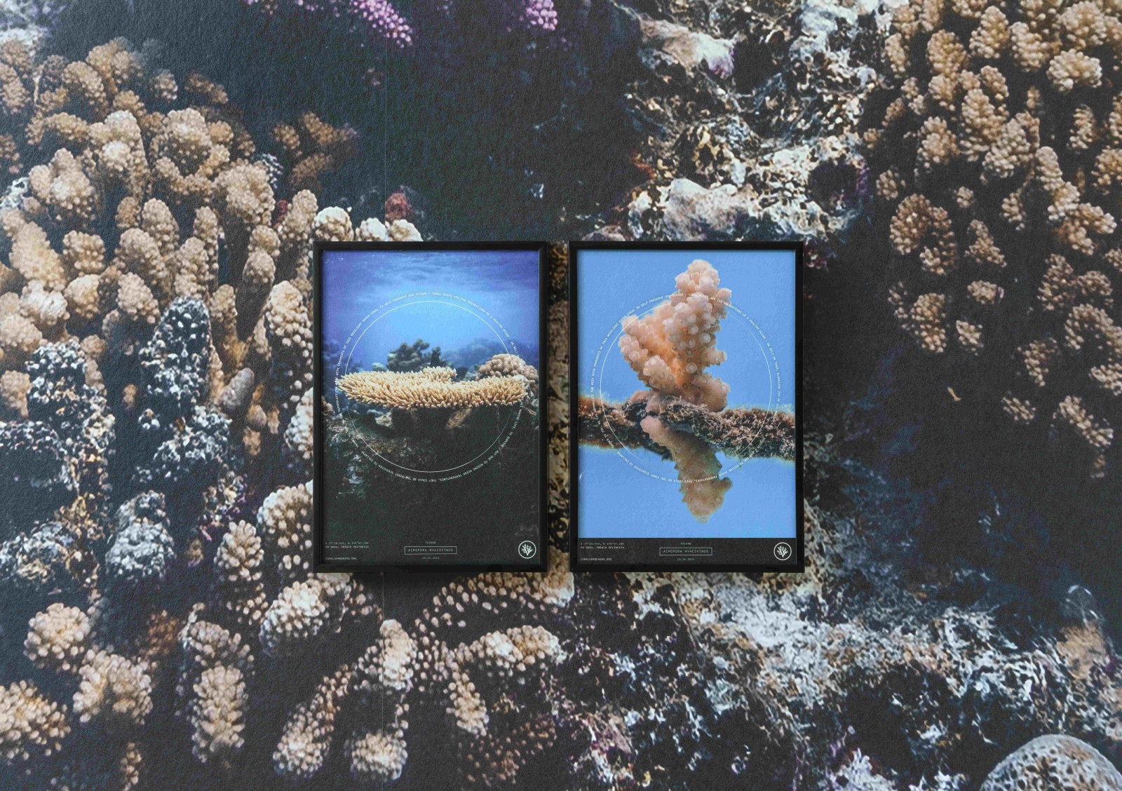 Ausstellungsansicht "healing. Leben im Gleichgewicht". Weltkulturen Museum 2022. Foto: Wolfgang Günzel