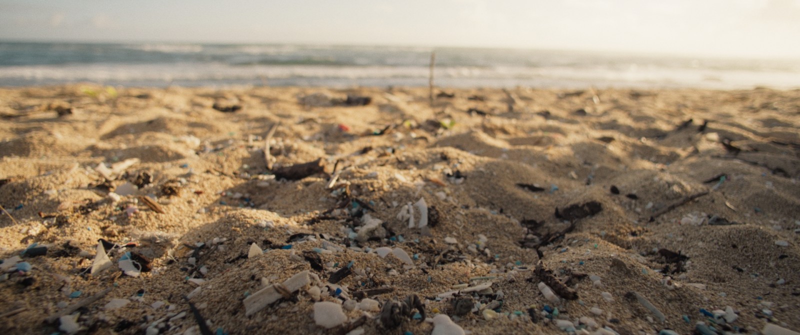 Filmstill „PLASTIC FANTASTIC“. Copyright: mindjazz pictures