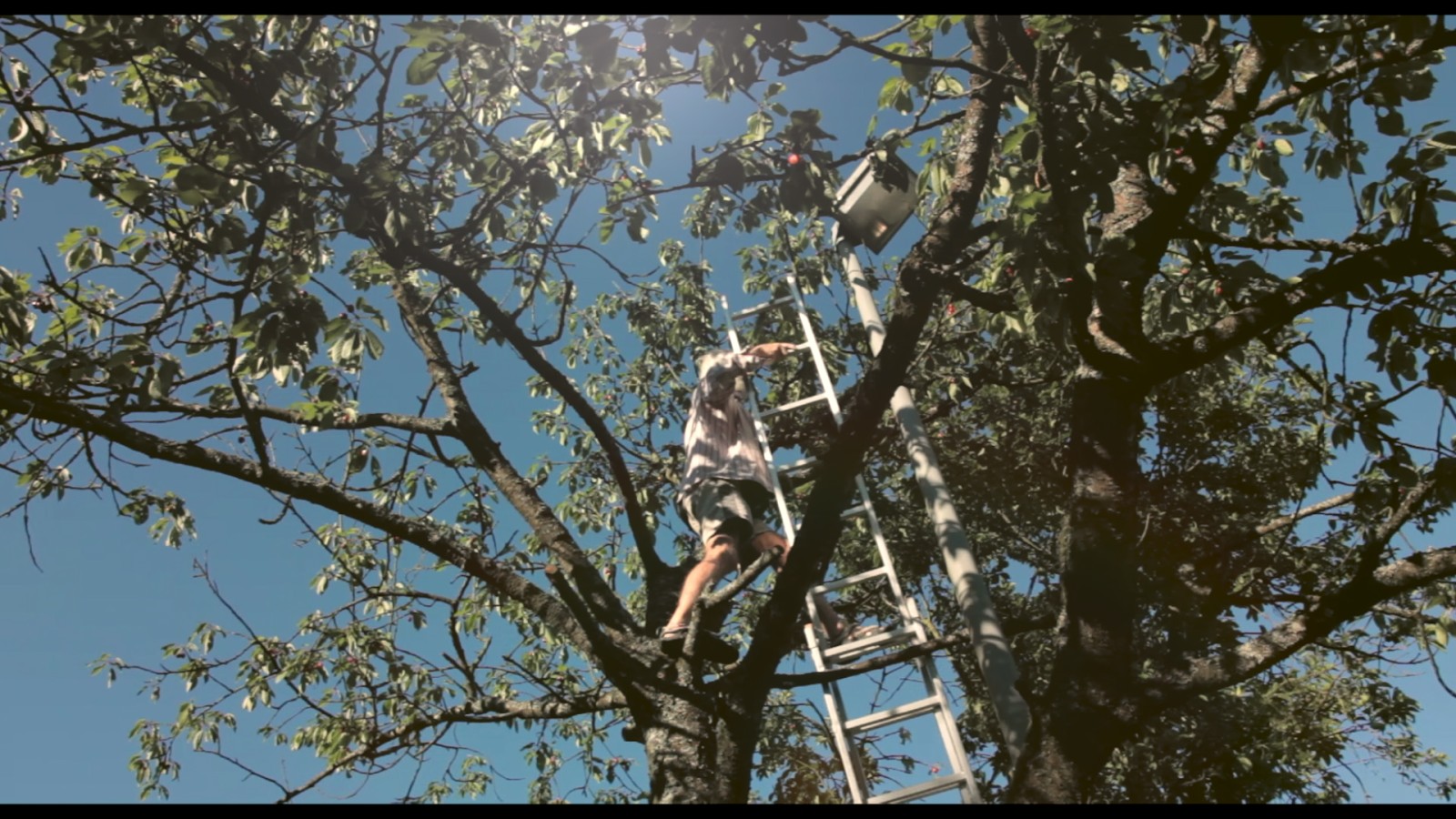 Filmstill aus „Adelheid, Kornelius & die Töde“, Regie: Kirsten Schmitt, Deutschland, 2018