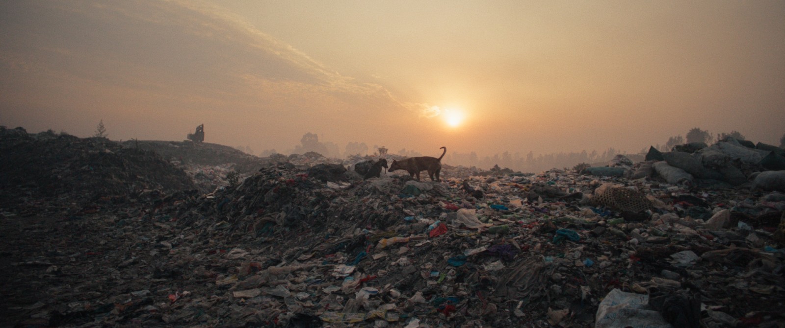 Filmstill „PLASTIC FANTASTIC“. Copyright: mindjazz pictures