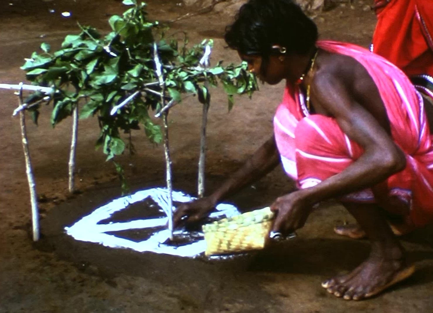 Zum viertägigen Opferfest Ghanta Parab in Nordindien Zum viertägigen Opferfest Ghanta Parab in Nordindien