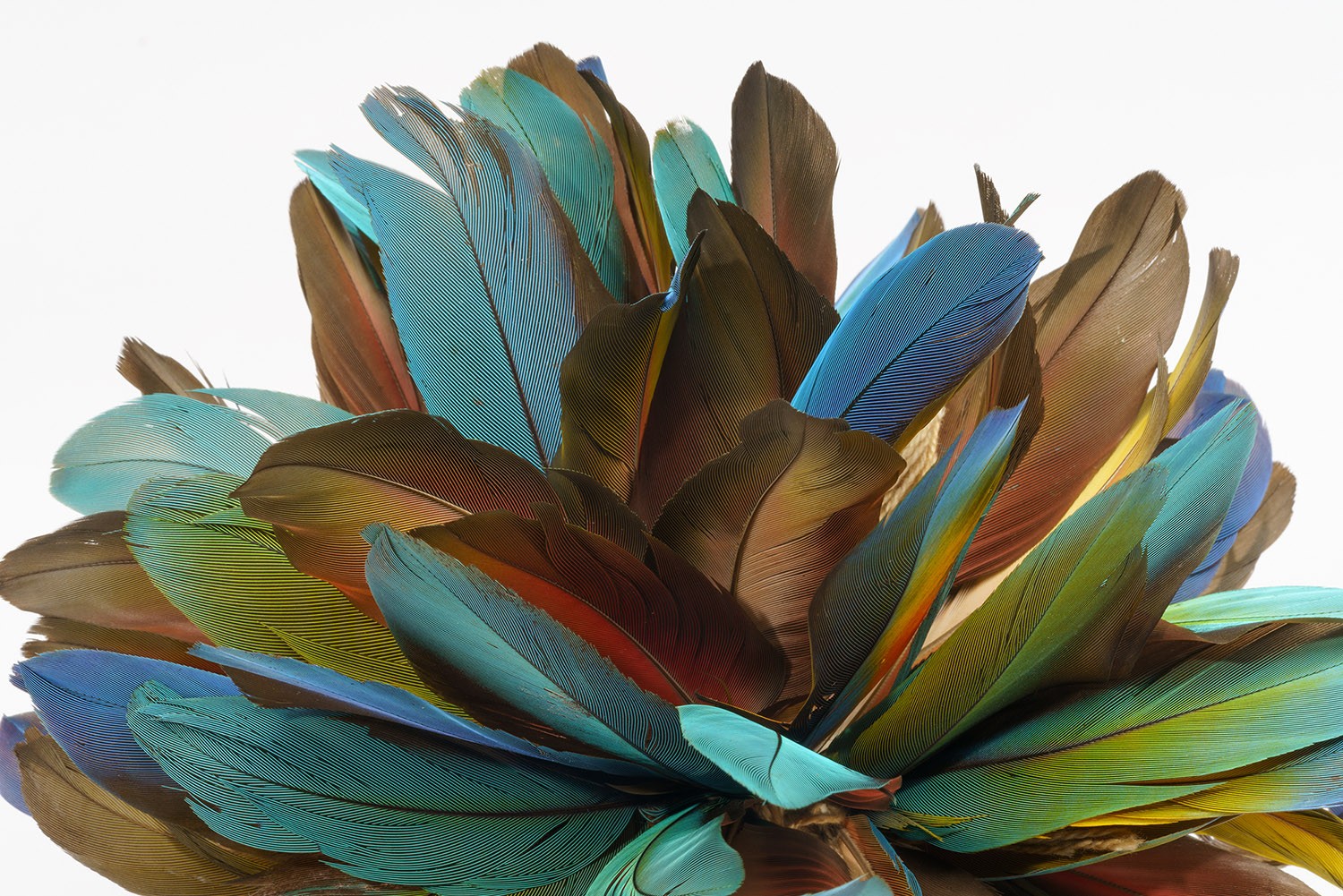 Armlet (detail). Feathers, barkcloth, palm leaves and cotton. Kayapó Txukarramãe, Pará, Brazil. Collected by Luiz Boglar, 1988. Collection Weltkulturen Museum. Photo: Wolfgang Günzel