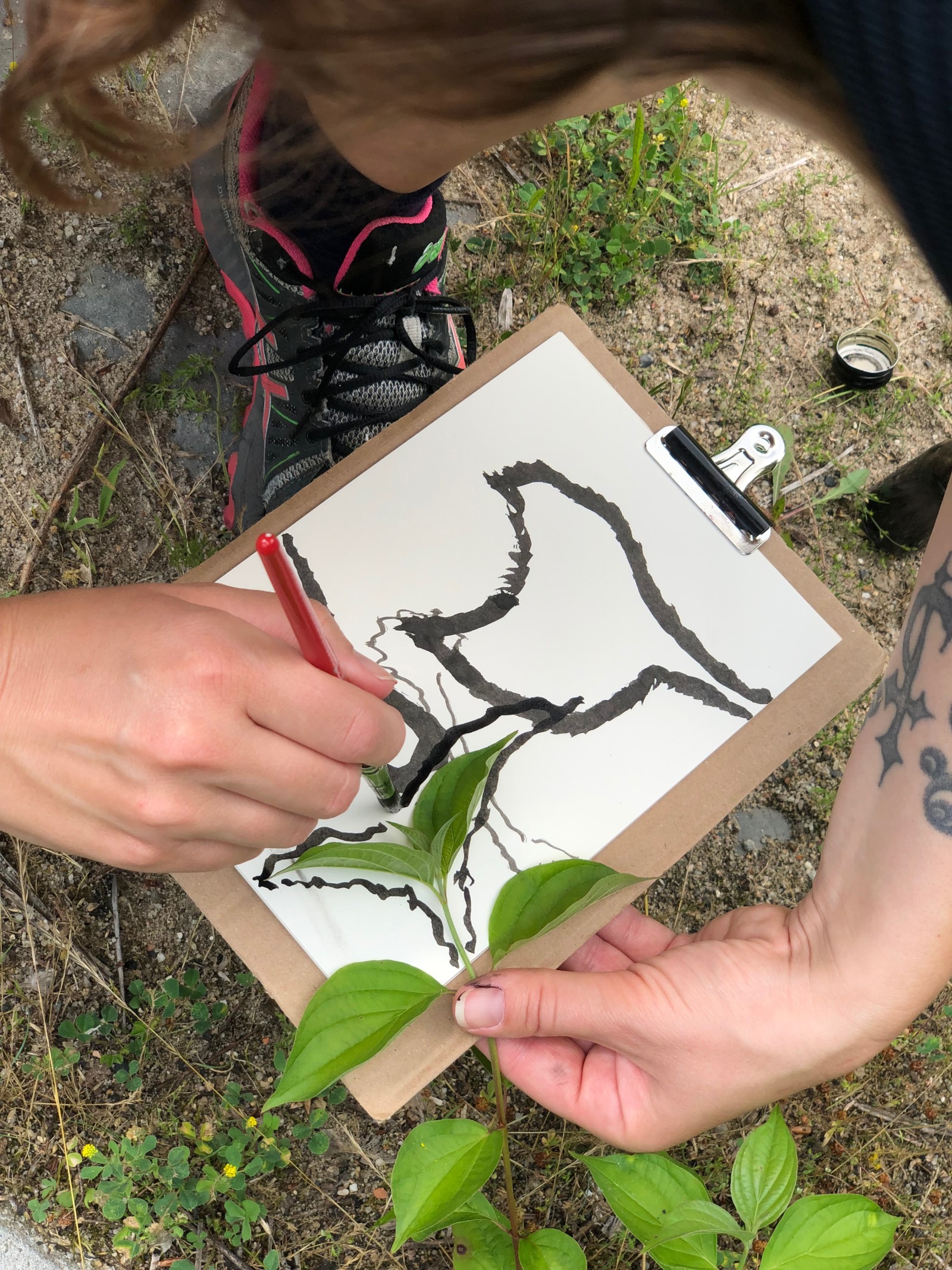"Nature Lines". Photo: Lena Sandel & Manuela Büchting