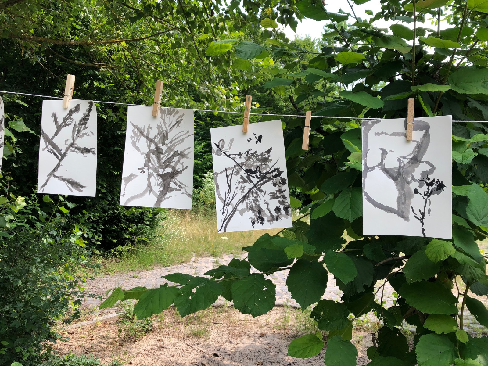 "Nature Lines". Photo: Lena Sandel & Manuela Büchting