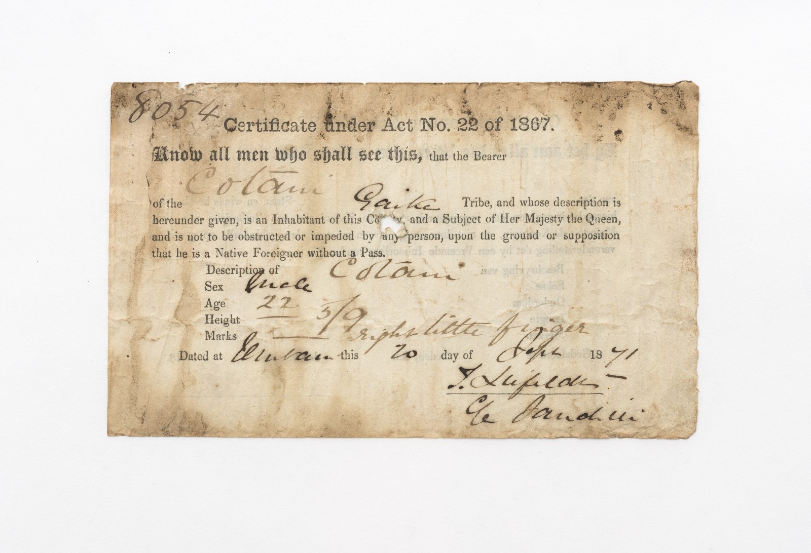 Did Colani's pass, a killed Ngqika, come to Germany from South Africa as a war trophy? Collectors: Carl Immanuel Müller, before 1879, Collection Weltkulturen Museum