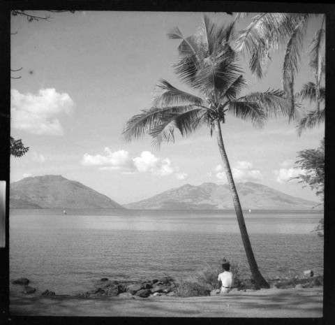 Flores, Indonesia, Archives of Societas Verbi Divini, Steyl, 1930
