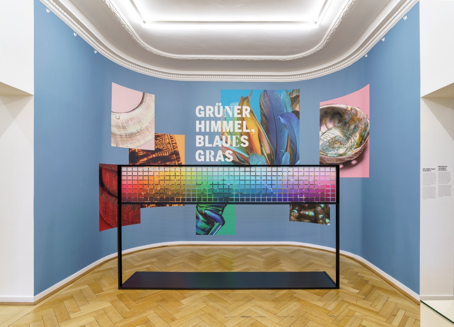 Exhibitionview. Green Sky Blue Grass. Colour coding Worlds. Photo: Wolfgang Günzel