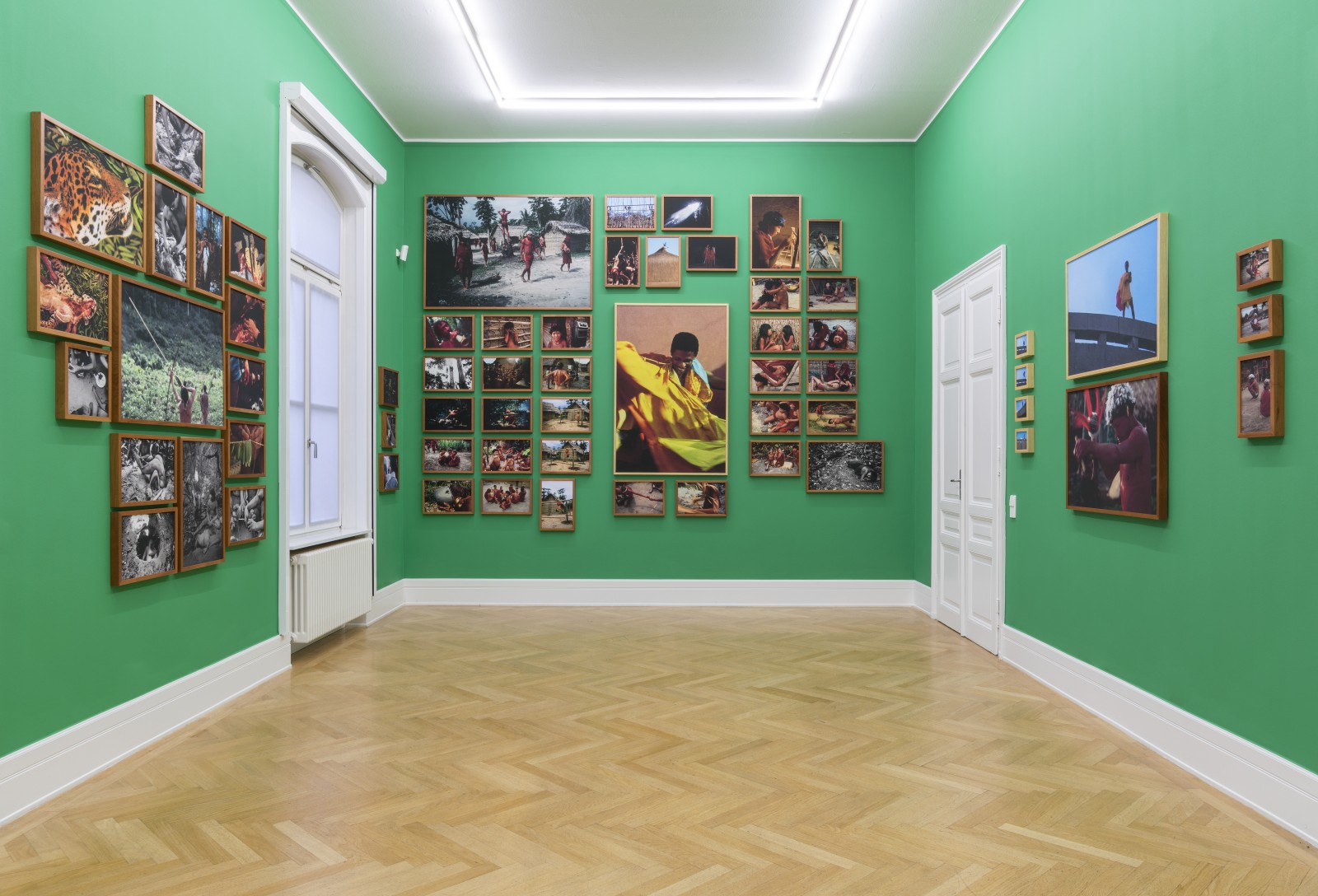 Exhibition view "Variations of the Wild Body", Weltkulturen Labor 2017